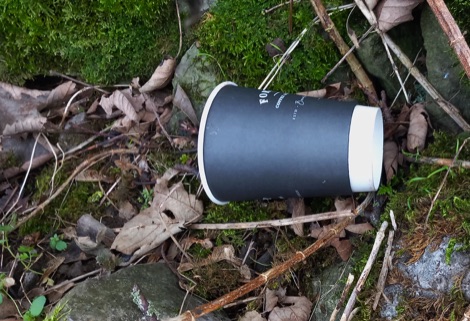 Discarded disposable coffee cup
